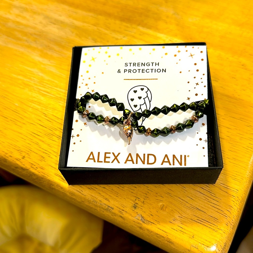 Alex And Ani double strand stretch bracelet